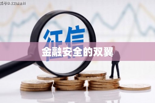 册亨金融安全的双翼