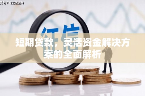 册亨短期贷款，灵活资金解决方案的全面解析