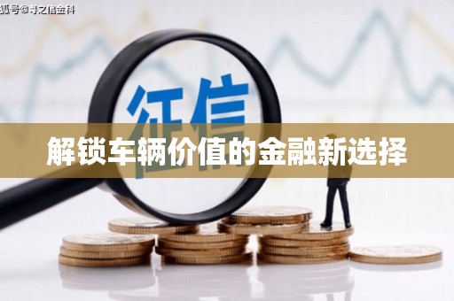 册亨解锁车辆价值的金融新选择