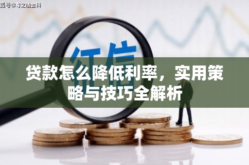 册亨贷款怎么降低利率，实用策略与技巧全解析