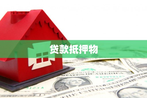 册亨贷款抵押物