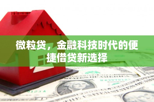 册亨微粒贷，金融科技时代的便捷借贷新选择