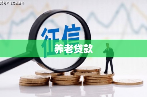 册亨养老贷款