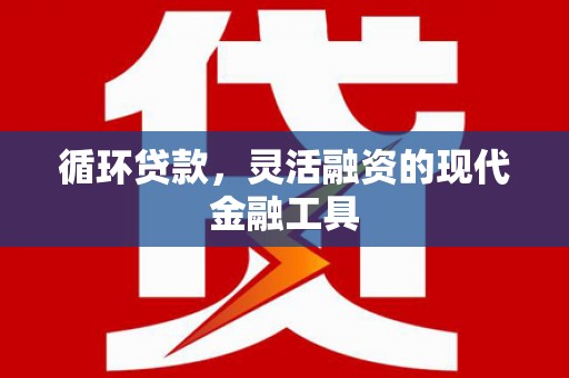 册亨循环贷款，灵活融资的现代金融工具