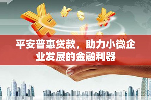 册亨平安普惠贷款，助力小微企业发展的金融利器