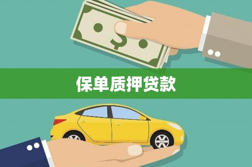 册亨保单质押贷款