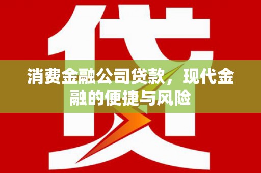 册亨消费金融公司贷款，现代金融的便捷与风险