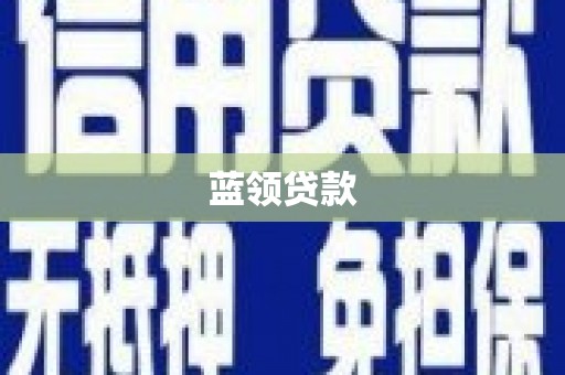 册亨蓝领贷款