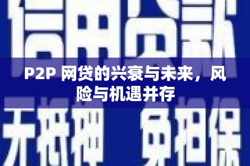 册亨P2P 网贷的兴衰与未来，风险与机遇并存