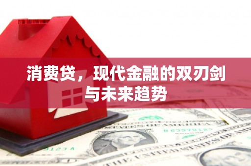 册亨消费贷，现代金融的双刃剑与未来趋势