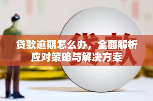 册亨贷款逾期怎么办，全面解析应对策略与解决方案