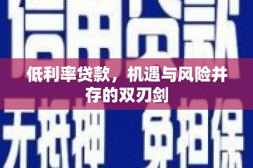 册亨低利率贷款，机遇与风险并存的双刃剑