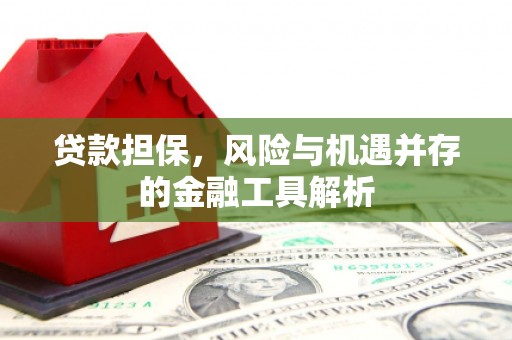 册亨贷款担保，风险与机遇并存的金融工具解析