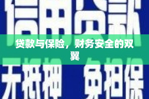 册亨贷款与保险，财务安全的双翼