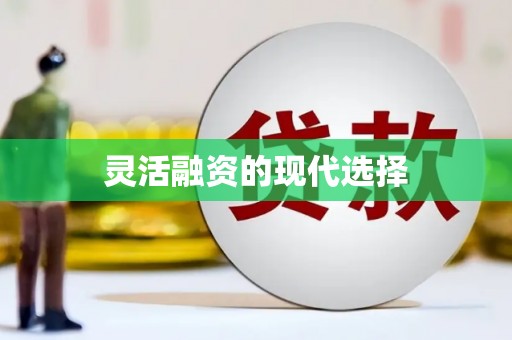 册亨灵活融资的现代选择