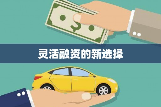 册亨灵活融资的新选择