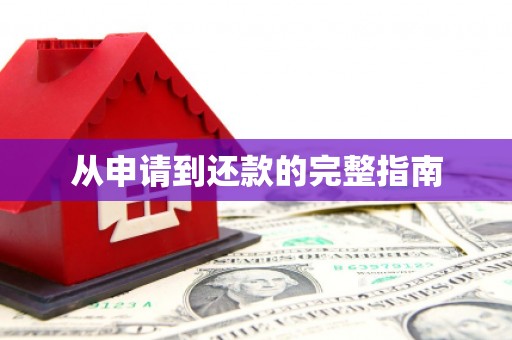 册亨从申请到还款的完整指南