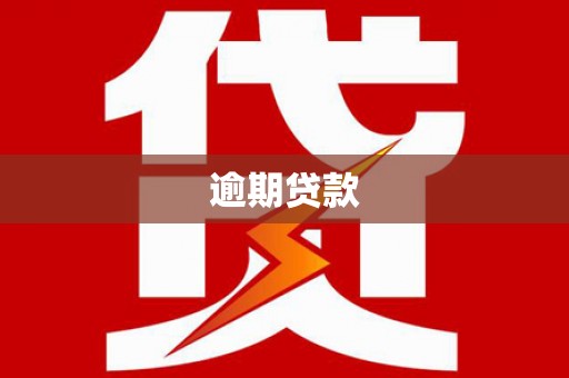 册亨逾期贷款