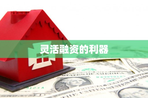 册亨灵活融资的利器