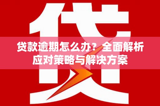 册亨贷款逾期怎么办？全面解析应对策略与解决方案