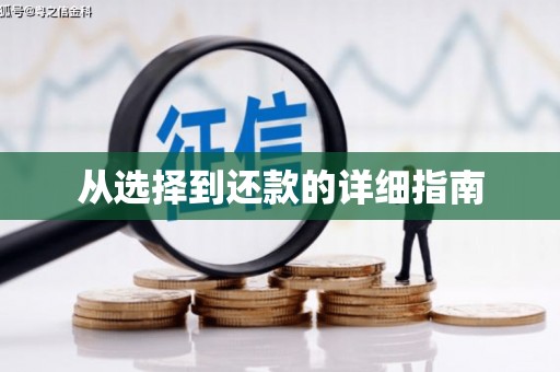 册亨从选择到还款的详细指南