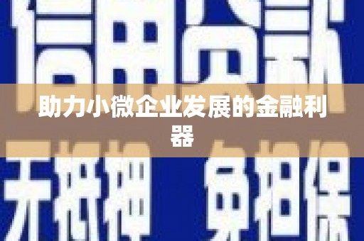 册亨助力小微企业发展的金融利器