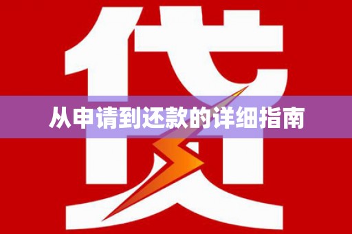 册亨从申请到还款的详细指南