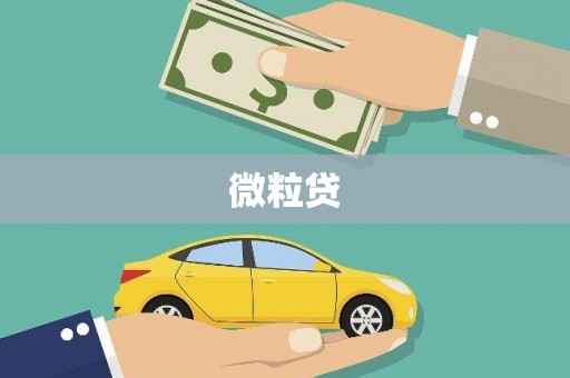 册亨微粒贷