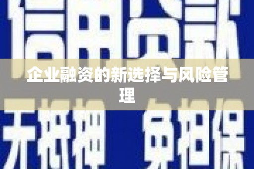 册亨企业融资的新选择与风险管理