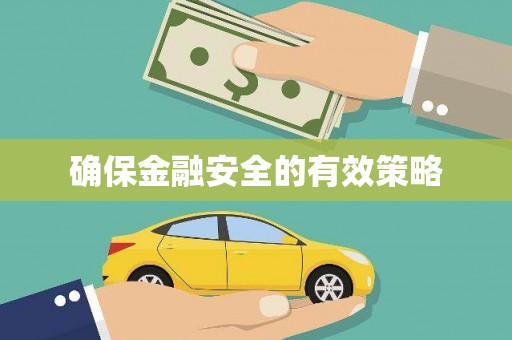 册亨确保金融安全的有效策略