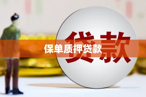 册亨保单质押贷款