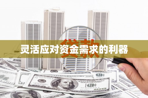 册亨灵活应对资金需求的利器