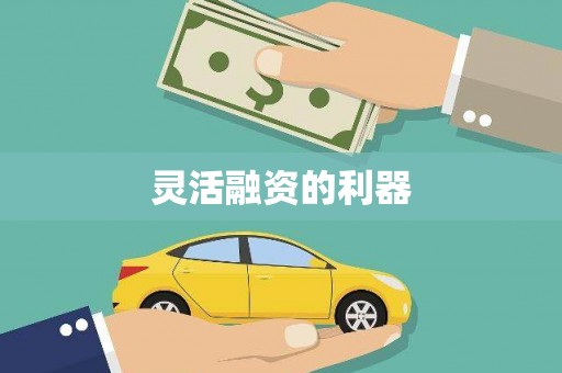 册亨灵活融资的利器