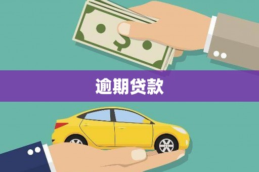 册亨逾期贷款