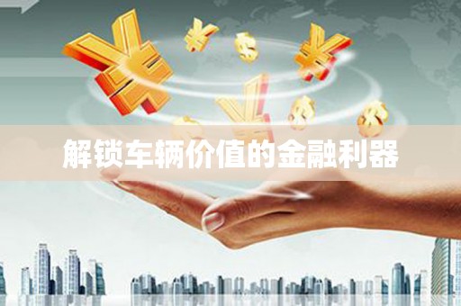 册亨解锁车辆价值的金融利器