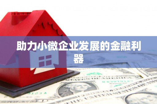 册亨助力小微企业发展的金融利器