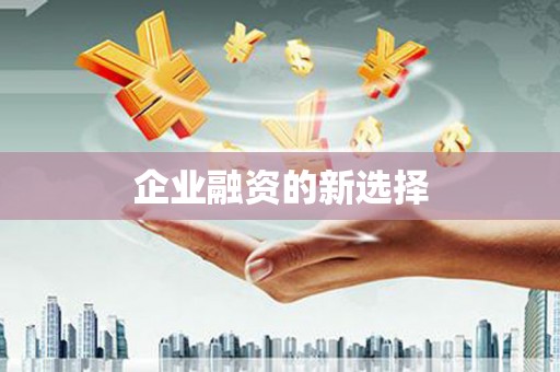 册亨企业融资的新选择
