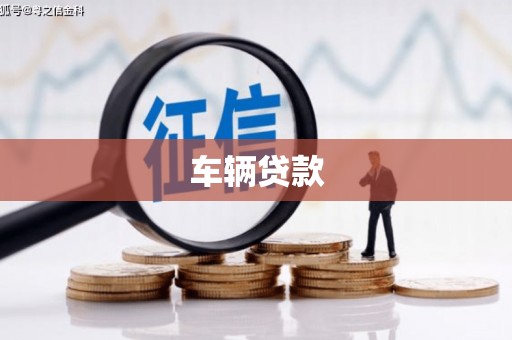 册亨车辆贷款