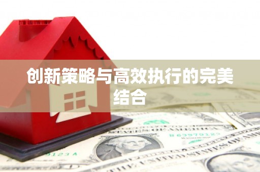 册亨创新策略与高效执行的完美结合