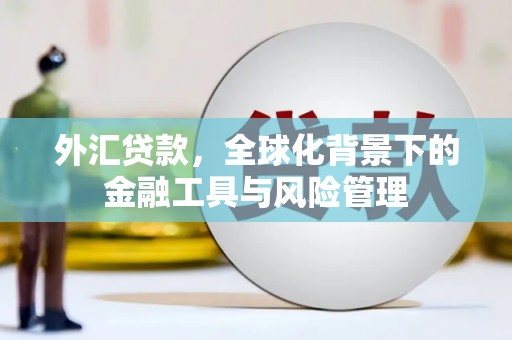 册亨外汇贷款，全球化背景下的金融工具与风险管理
