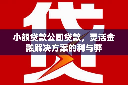 册亨小额贷款公司贷款，灵活金融解决方案的利与弊