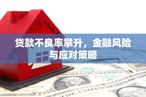 册亨贷款不良率攀升，金融风险与应对策略