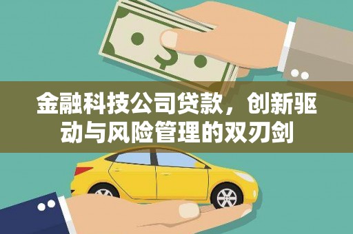 册亨金融科技公司贷款，创新驱动与风险管理的双刃剑